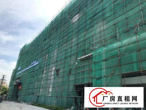  厚街原房东全新重工业厂房仓库28000方8米高急租