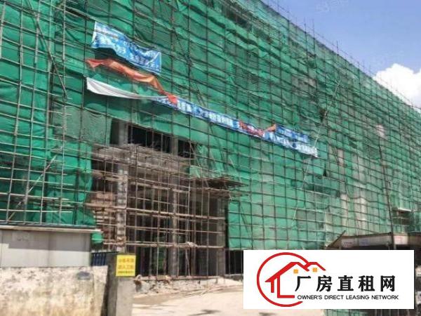  厚街原房东全新重工业厂房仓库28000方8米高急租