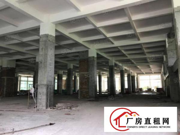  厚街原房东全新重工业厂房仓库28000方8米高急租