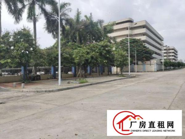  原房东独院分租厂房，四面采光