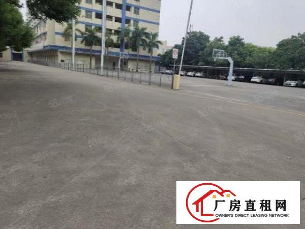  原房东独院分租厂房，四面采光