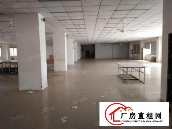  溪头新空出原房东800平厂房，形象好，交通便利