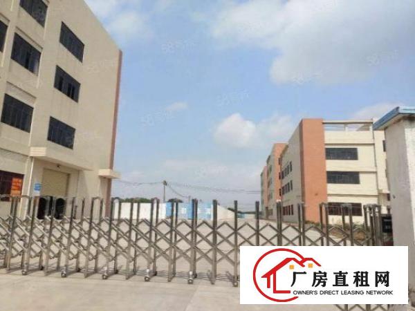  全新高标重工业厂房长96米宽36米符合各类客户要求。