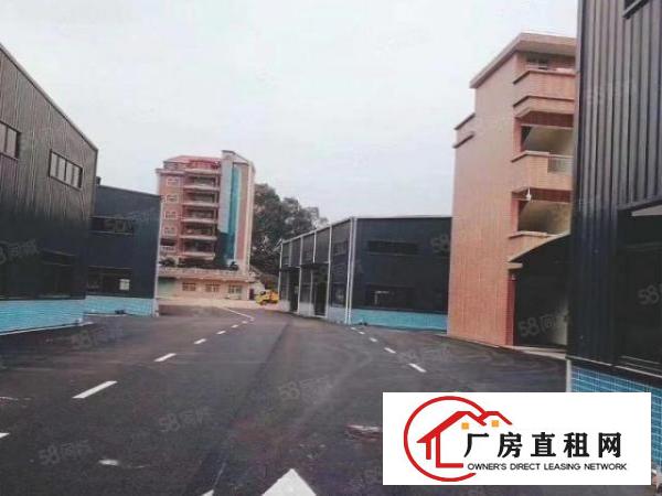  汀山钢构1260平，滴水10米带隔热层，空地大