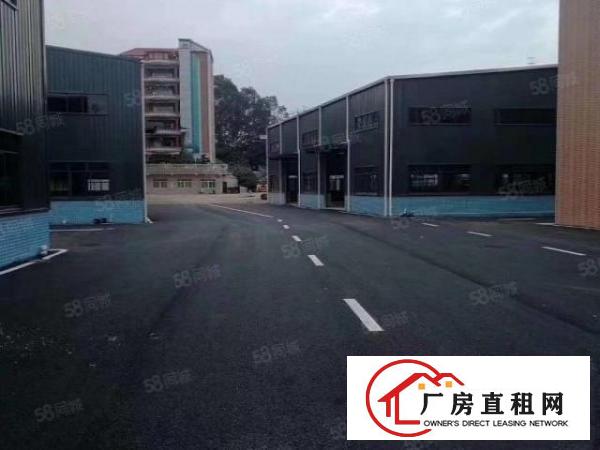  汀山钢构1260平，滴水10米带隔热层，空地大