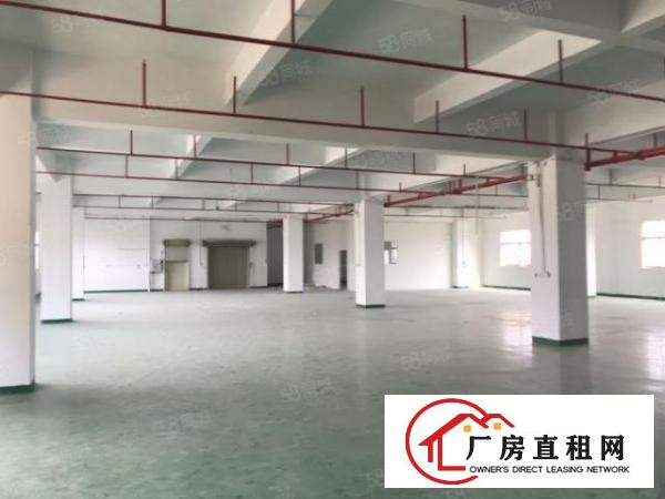  三屯新空出批量厂房1F2F3F，多层选择价格优惠,易招工