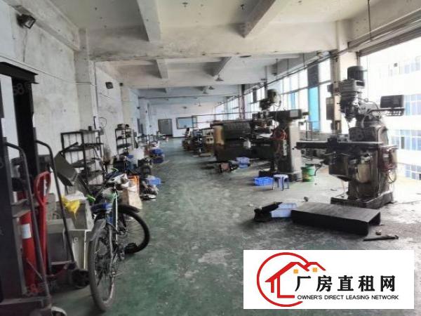  白濠新出楼上600平带现成精装修办公室园区形象好交通方便