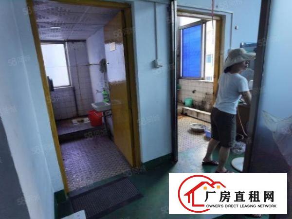  白濠新出楼上600平带现成精装修办公室园区形象好交通方便