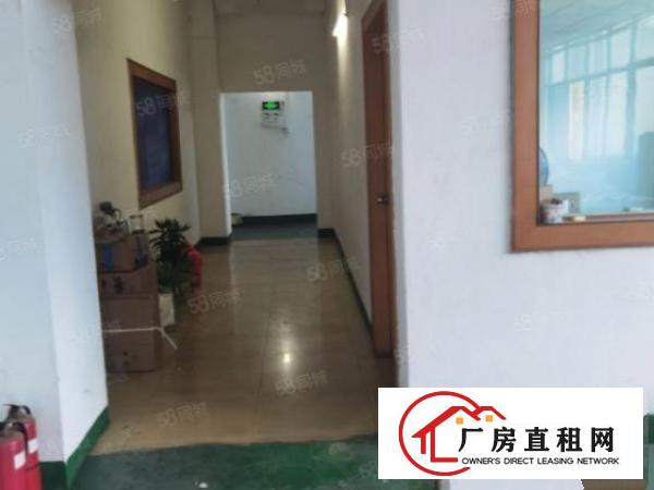  白濠新出楼上600平带现成精装修办公室园区形象好交通方便