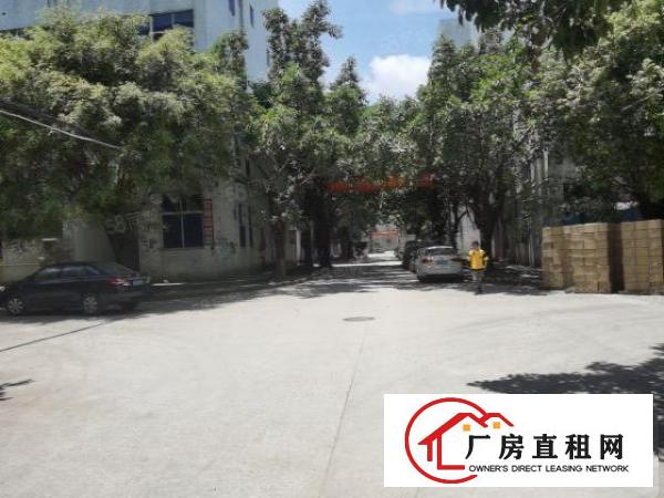  白濠新出楼上600平带现成精装修办公室园区形象好交通方便