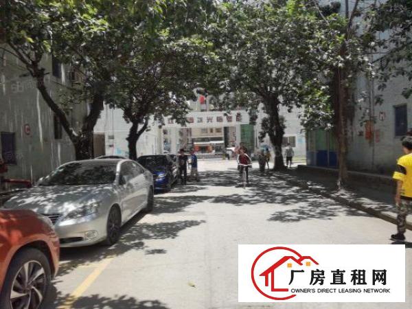  白濠新出楼上600平带现成精装修办公室园区形象好交通方便