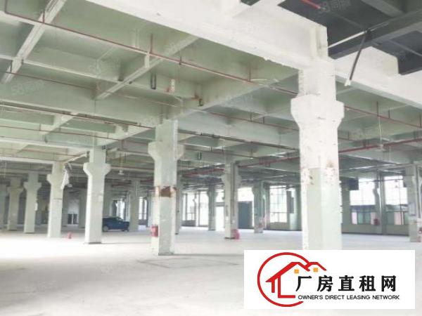  红本房源厚街镇红本房源花园式独院厂房