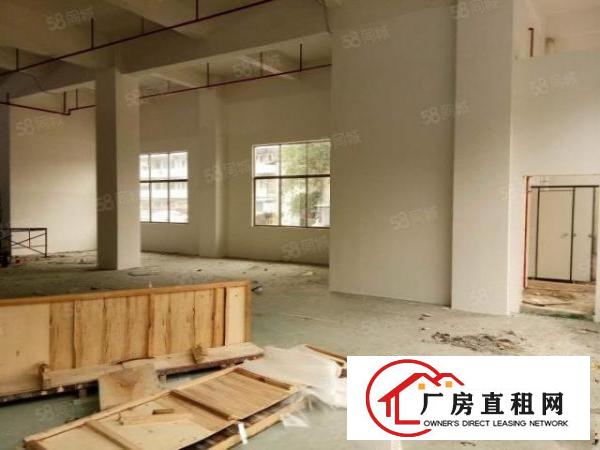  厚街新出一楼厂房出租2500平方米，工业用地可办环评，交通好