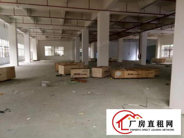  厚街新出一楼厂房出租2500平方米，工业用地可办环评，交通好