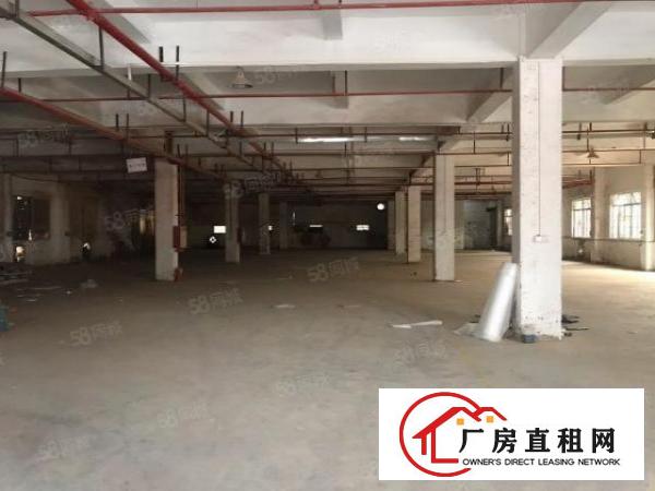  厚街双岗新出楼层厂房1000平出租，价格优惠空地大