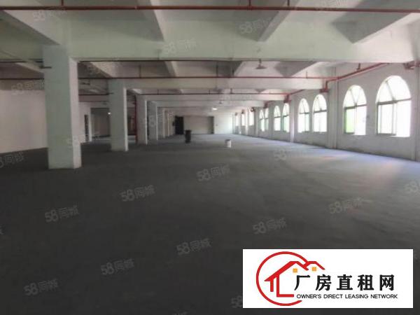  双岗楼上新出2000方精装修厂房