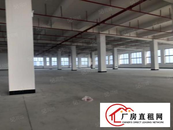  实图（全新工业4.0厂房）厚街楼上单层3866平方可分租。