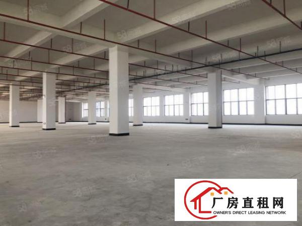  实图（全新工业4.0厂房）厚街楼上单层3866平方可分租。