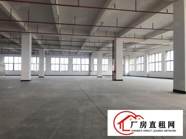  实图（全新工业4.0厂房）厚街楼上单层3866平方可分租。