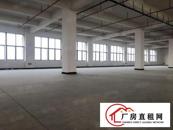  实图（全新工业4.0厂房）厚街楼上单层3866平方可分租。