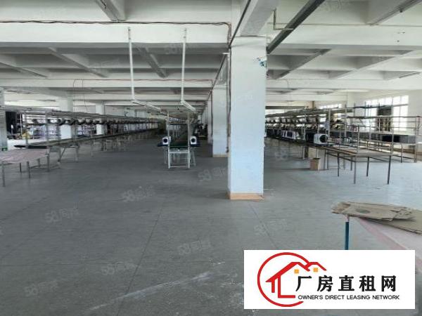  上市公司教育基地，厚街独院厂房3w5千平方出租