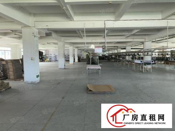  上市公司教育基地，厚街独院厂房3w5千平方出租