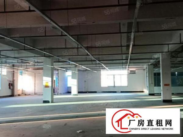  汀山原房东厂房出租1300平方，带办公室，可分租