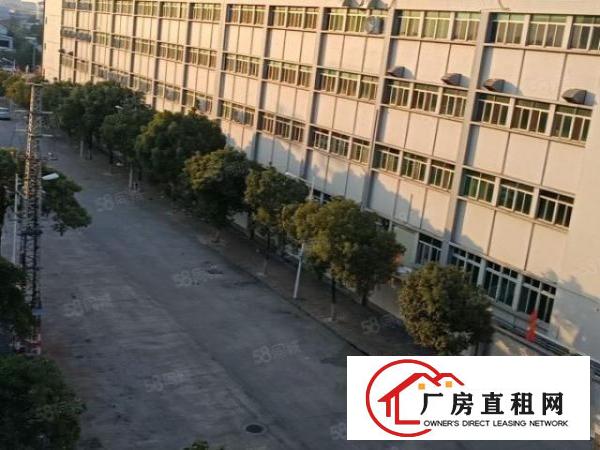  汀山原房东厂房出租1300平方，带办公室，可分租