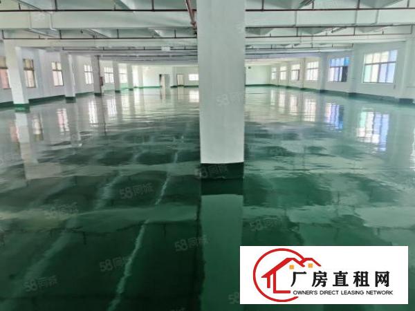  东莞厚街赤岭靠陈屋独院三楼1600平方现有豪华办公室低价出租