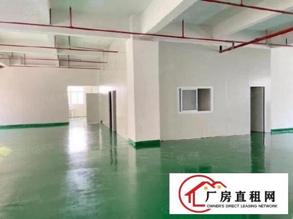  寮夏新出1100方精装修厂房出租，地理位置好