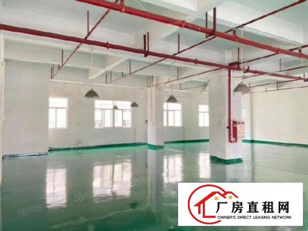  寮夏新出1100方精装修厂房出租，地理位置好