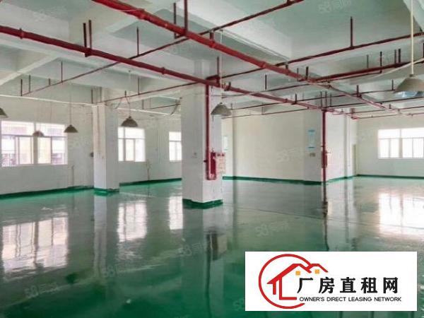  寮夏新出1100方精装修厂房出租，地理位置好