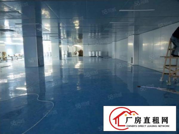  虎门新出独院标准厂房出租500方独门独院空地大形象好