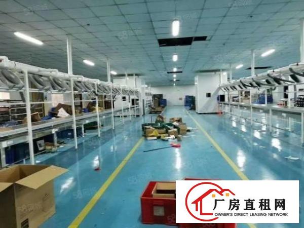  虎门新出独院标准厂房出租500方独门独院空地大形象好