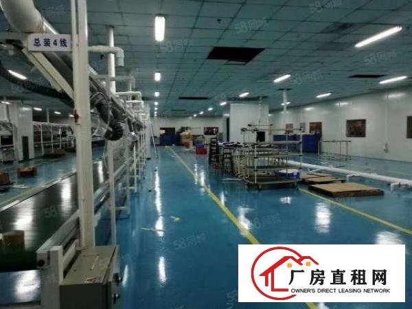  虎门新出独院标准厂房出租500方独门独院空地大形象好