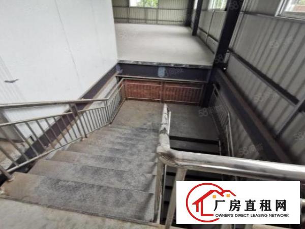  厚街全新独栋钢构厂房车间办公室宿舍共3000方