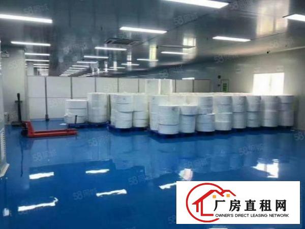  全新级无尘车间水电齐全拎包即生产上市公司形象