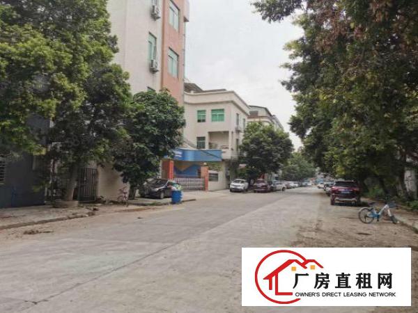 厚街原房东招租一楼700二楼1600现成装修现租现用