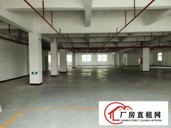  厚街原房东招租一楼700二楼1600现成装修现租现用