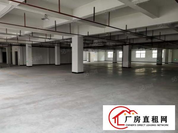  厚街原房东招租一楼700二楼1600现成装修现租现用