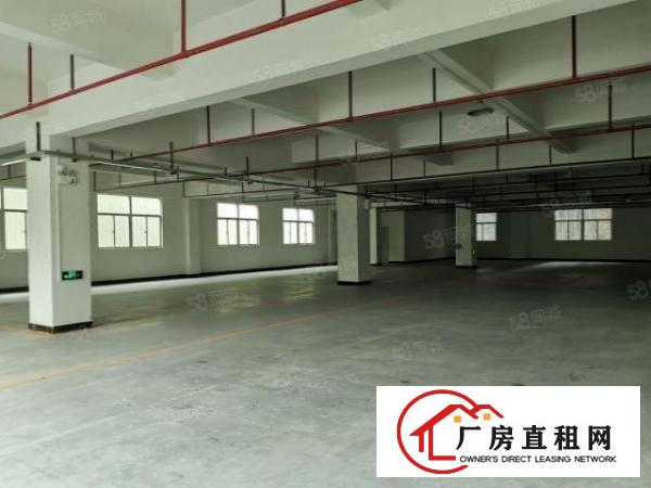  厚街原房东招租一楼700二楼1600现成装修现租现用