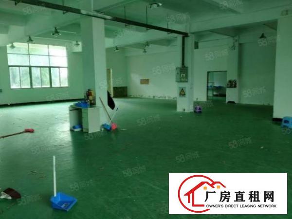  厚街新出独门独院原房东标准带现成环评厂房招租