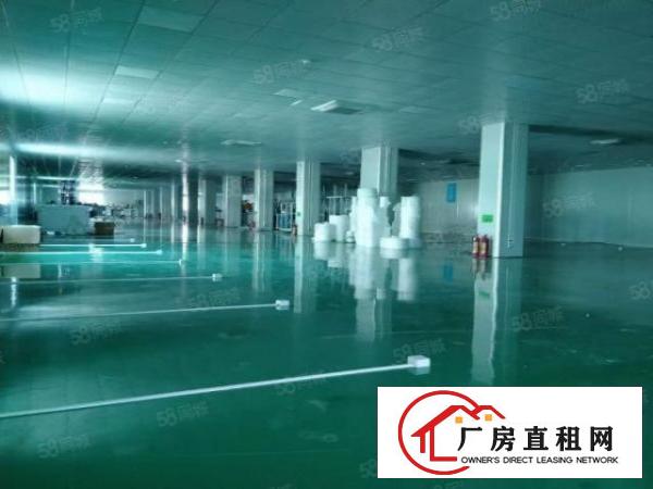  厚街新出独门独院原房东标准带现成环评厂房招租