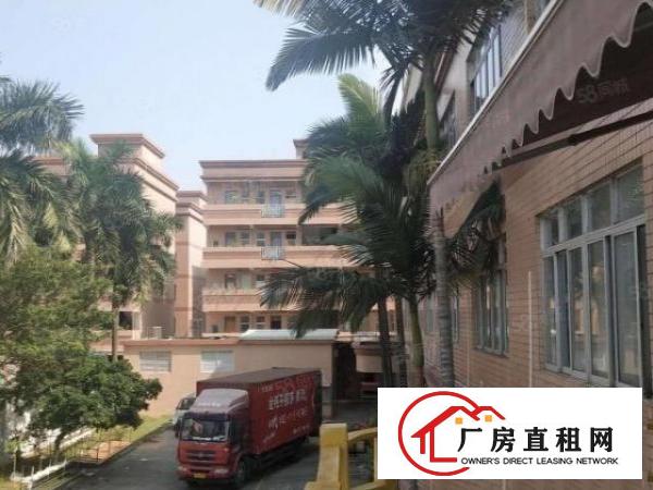  厚街新出原房东独院3层厂房招租面积7000平方。