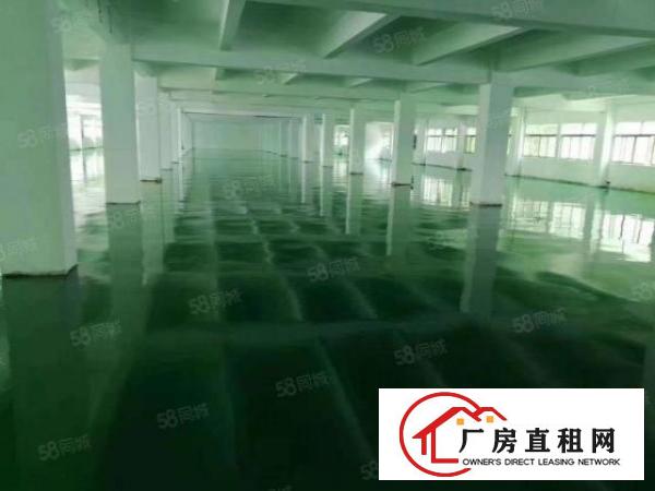  厚街新出原房东独院3层厂房招租面积7000平方。