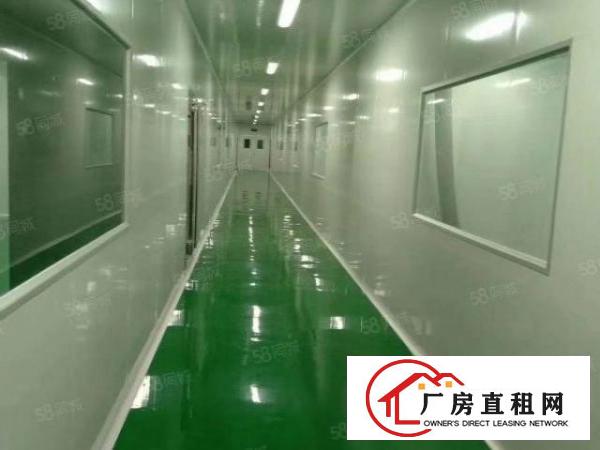  厚街新出原房东独院3层厂房招租面积7000平方。