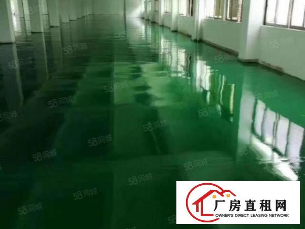  厚街新出原房东独院3层厂房招租面积7000平方。