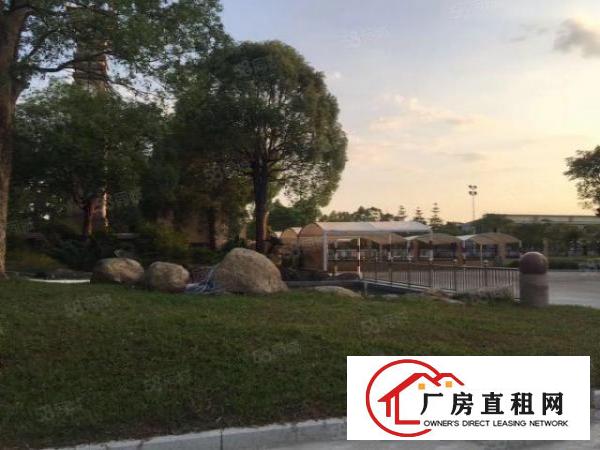  厚街花园厂房超大空地园区新空一楼4300平方出租
