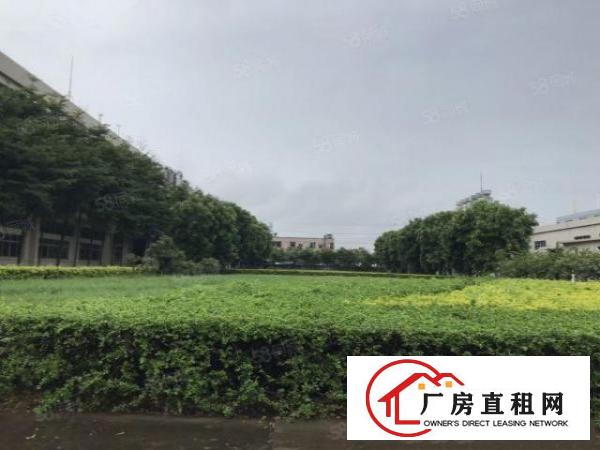  花园式独院厂房，形象高大上，上市公司形象