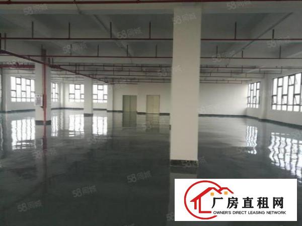  厚街厂房适合做电子等，干净整洁大气，交通非常方便1350平方